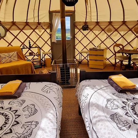 Hotel Bronfelen Yurt Cynghordy Exteriér fotografie