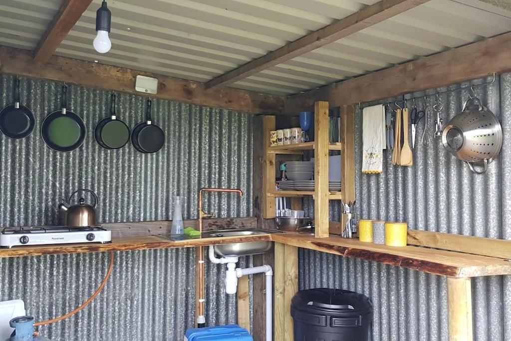 Hotel Bronfelen Yurt Cynghordy Exteriér fotografie