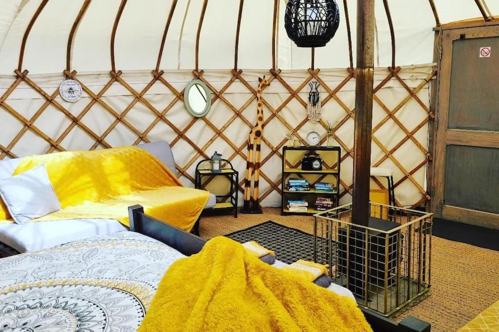 Hotel Bronfelen Yurt Cynghordy Exteriér fotografie