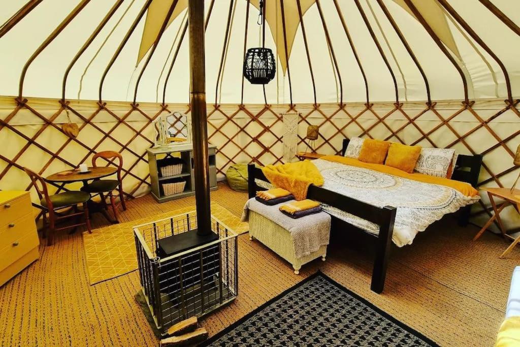 Hotel Bronfelen Yurt Cynghordy Exteriér fotografie