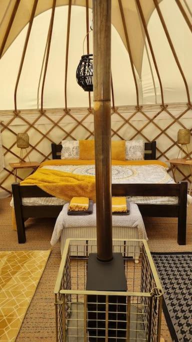 Hotel Bronfelen Yurt Cynghordy Exteriér fotografie