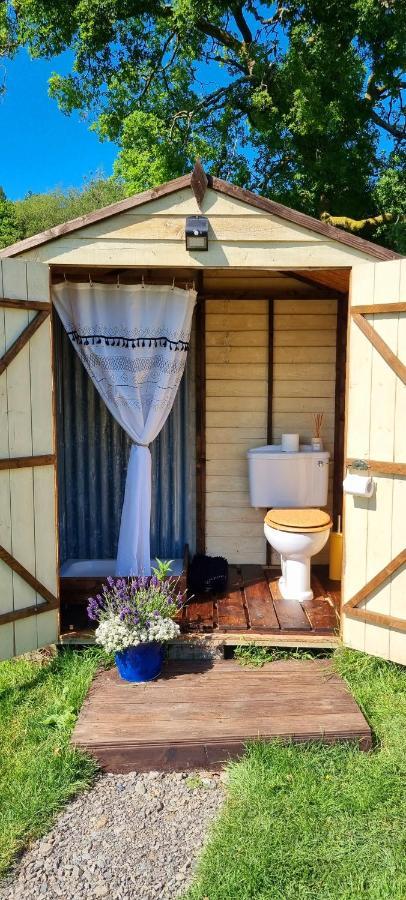 Hotel Bronfelen Yurt Cynghordy Exteriér fotografie
